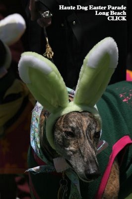 [perros+pascua+(10)[3].jpg]