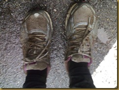 shoes shoes