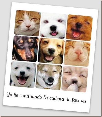 yohecontinuadocadenadefavores