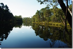 Perfectly peaceful Perfectly peaceful