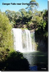 Dangar Falls NSW IMGP3254