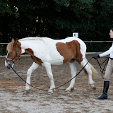 6Y1I2963_DxO_raw.jpg