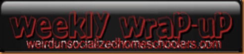 weekly_wrap-up2