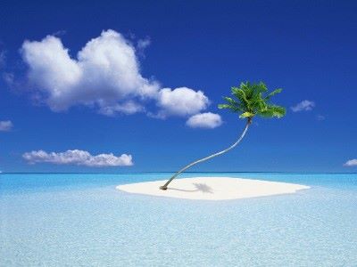 isla desierta palmera