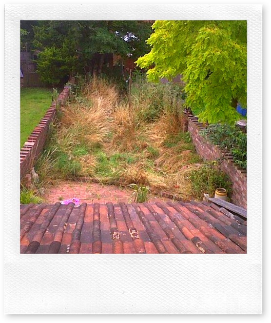 My Garden My Garden