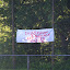 Abschlußfest und Meisterehrungen 2010