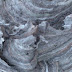 DSC01003.JPG