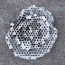 DSC01001.JPG