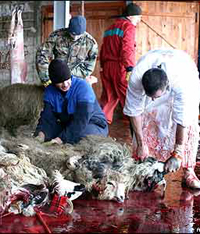 Butchers.jpg