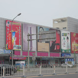 私の巣
