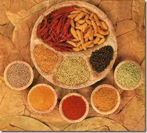 indian_spices1