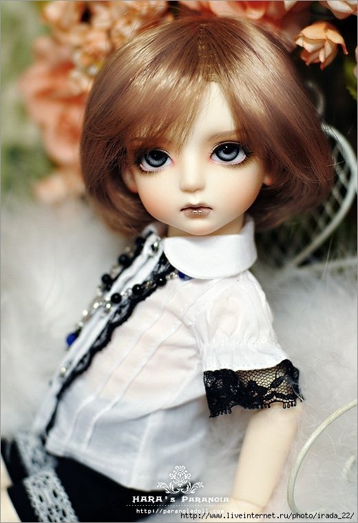 [2a5c1e42cc3544790ce72a9db7835675[4].jpg]