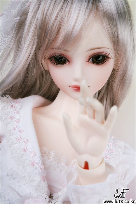 [9baead3ae872[4].jpg]