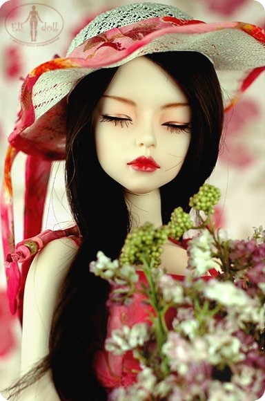 [7372089505b5655abe[4].jpg]