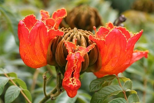 [clip_image0035.jpg]