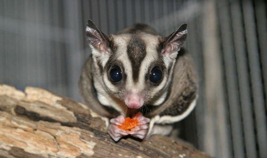 [clip_image010[4].jpg]