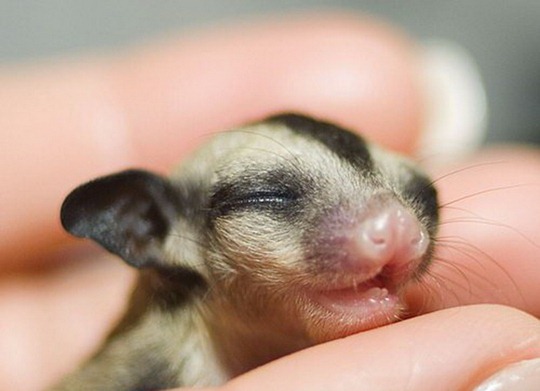 [clip_image014[4].jpg]