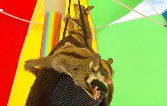 [clip_image022[4].jpg]