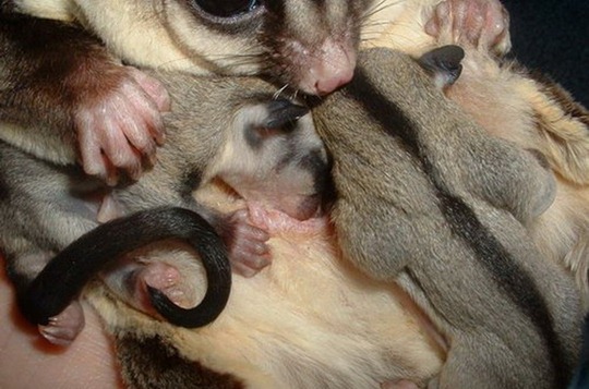 [clip_image023[4].jpg]