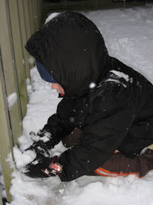 Devin is enthralled with pushing snow off the ledge