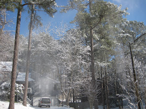 Wind Gusts Making Miniflurries