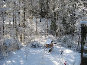 Our Backyard