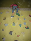 Maya tops the kiddie wall