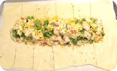 chickenbroccolibraidassemble chickenbroccolibraidassemble