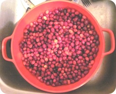 Jellied sauce starting with cranberries Jellied sauce starting with cranberries