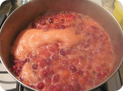 Jellied cranberry sauce cooking foam in pan1 Jellied cranberry sauce cooking foam in pan1