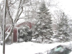 2010 snowstorm2