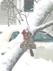 2010snowstorm14