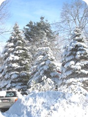 1.27.11 snowstorm sideyard2