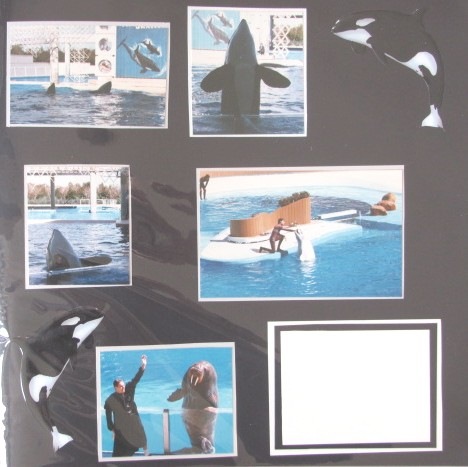 [1986 Florida Seaworld orca stickers[4].jpg]