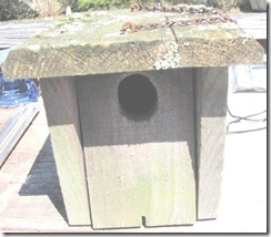 bluebird house