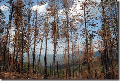MITH_PIX_144