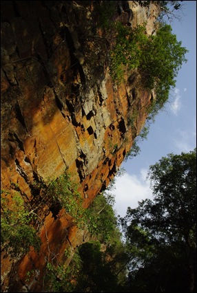 _IGP6865 _IGP6865