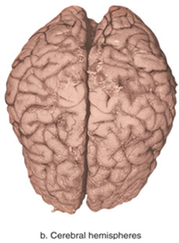 [image14.png]
