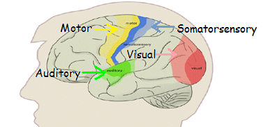 [image371.png]