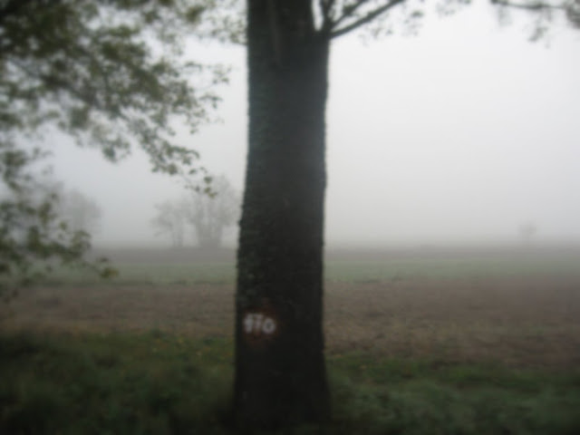 Mgła 6