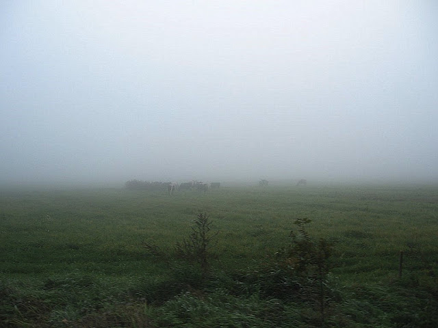 Mgła 3