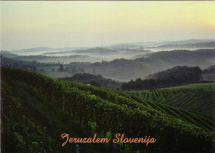 Slovenia%20-%20Jeruzalem%20%28vine-yards%29.jpg