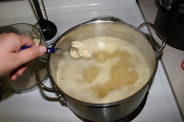 [2010-11-16 Chicken & Dumplings (2)[3].jpg]