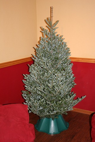 [2010-12-12 Christmas Tree[3].jpg]