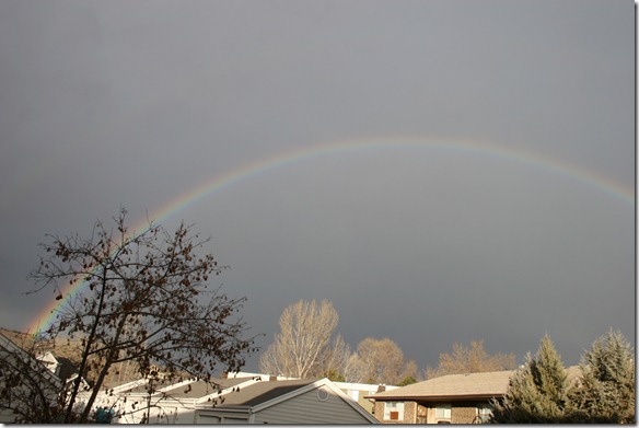 2010-12-20 Rainbow (5)