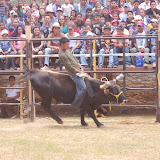 DSC_0172.JPG