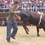 DSC_0174.JPG