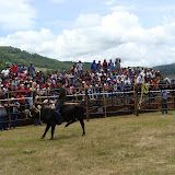 DSC02528.JPG