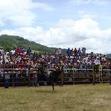 DSC02529.JPG