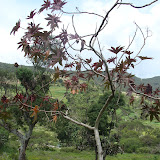 DSC02728.JPG